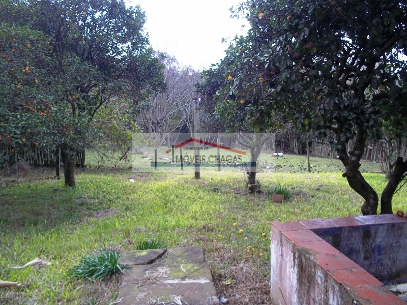 Im�veis Chagas